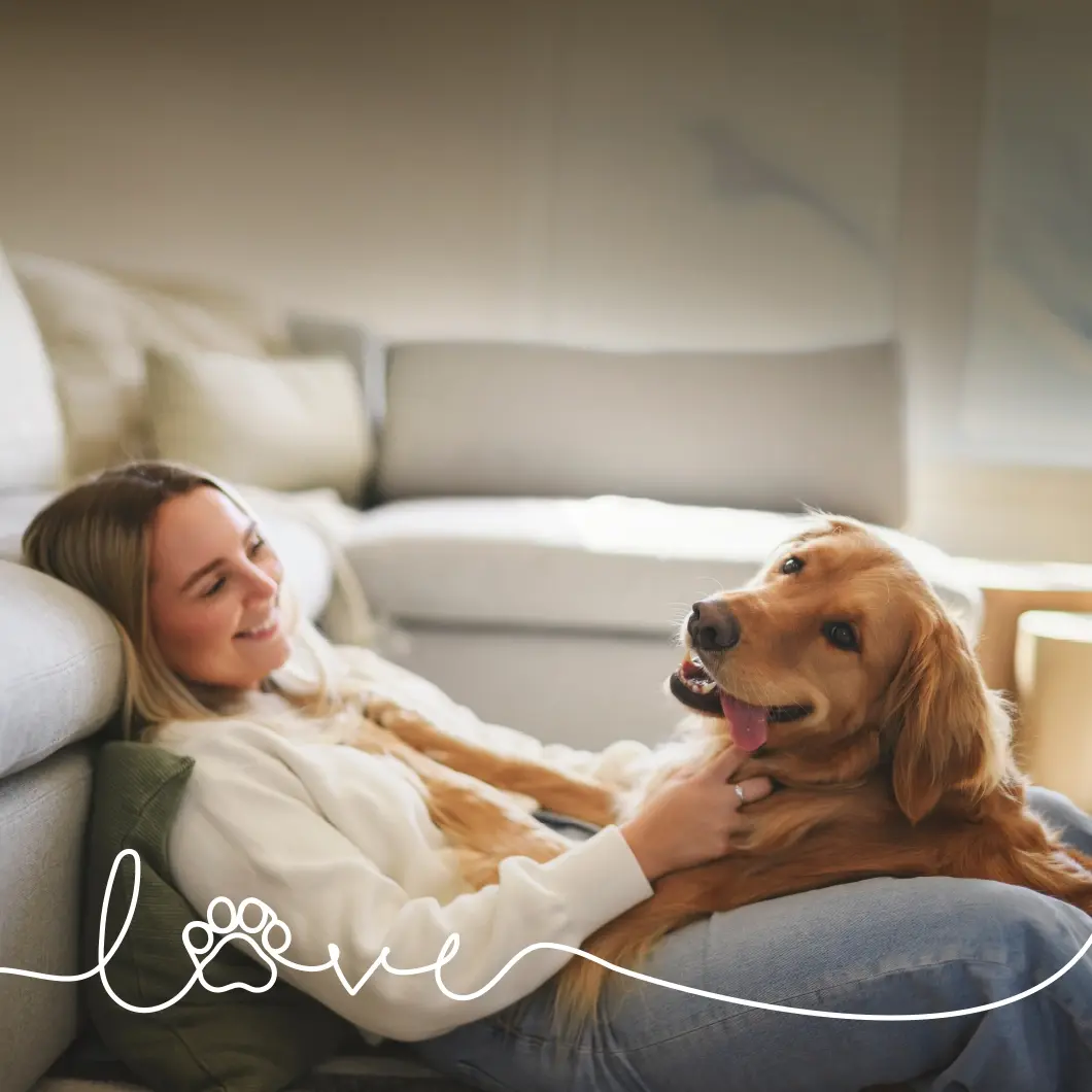 Pawsitively Perfect: Pet-Friendly Living at Windler
